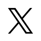 公式X
